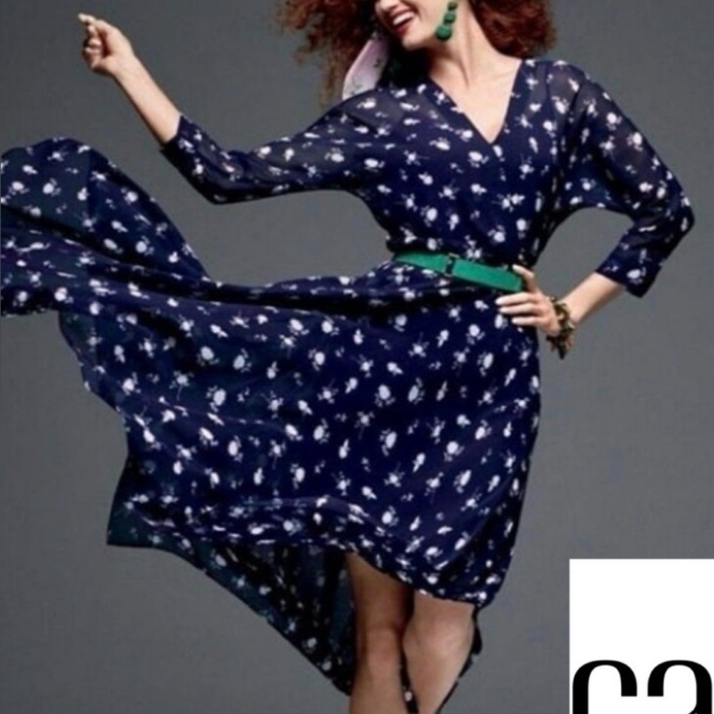 CAbi Pemberly Dress #5575
